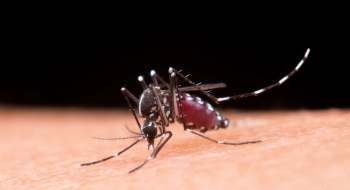 Goiânia e Aparecida estão entre as três cidades com mais casos de dengue no Brasil